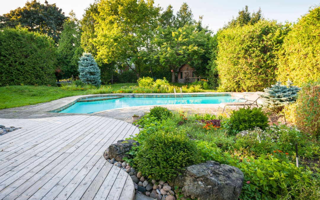 Privacy Landscaping Around Pools: Create Your Secluded Oasis