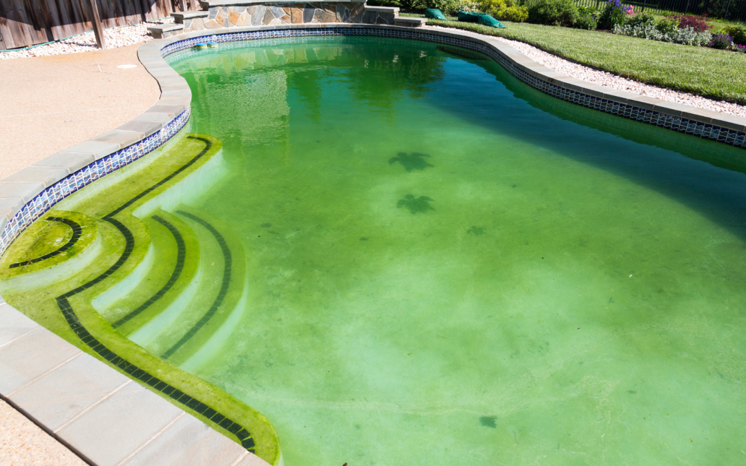 Green Pool Water? Here’s How to Fix It Fast (2025 Guide)